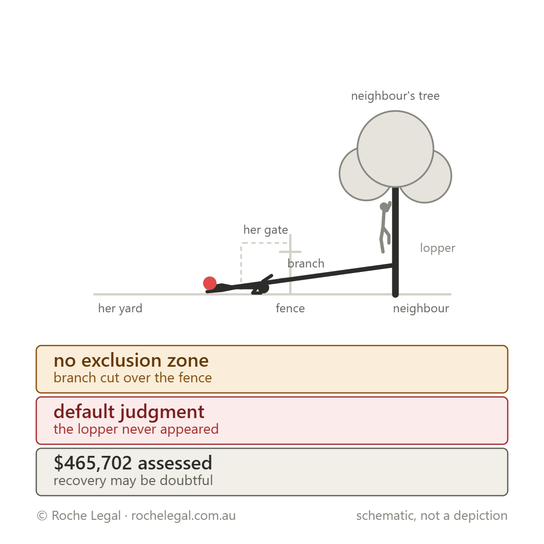 Schematic of Amos v Miki Stowers t/as Essy Tree Lopping Services [2023] QDC 127, branch struck her leg over the fence line