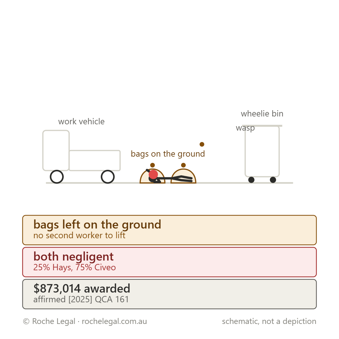 Schematic of Carey-Schofield v Hays Specialist Recruitment (Australia) Pty Ltd & Civeo Pty Ltd [2024] QSC 60, bags left on the ground, stepped back from a wasp