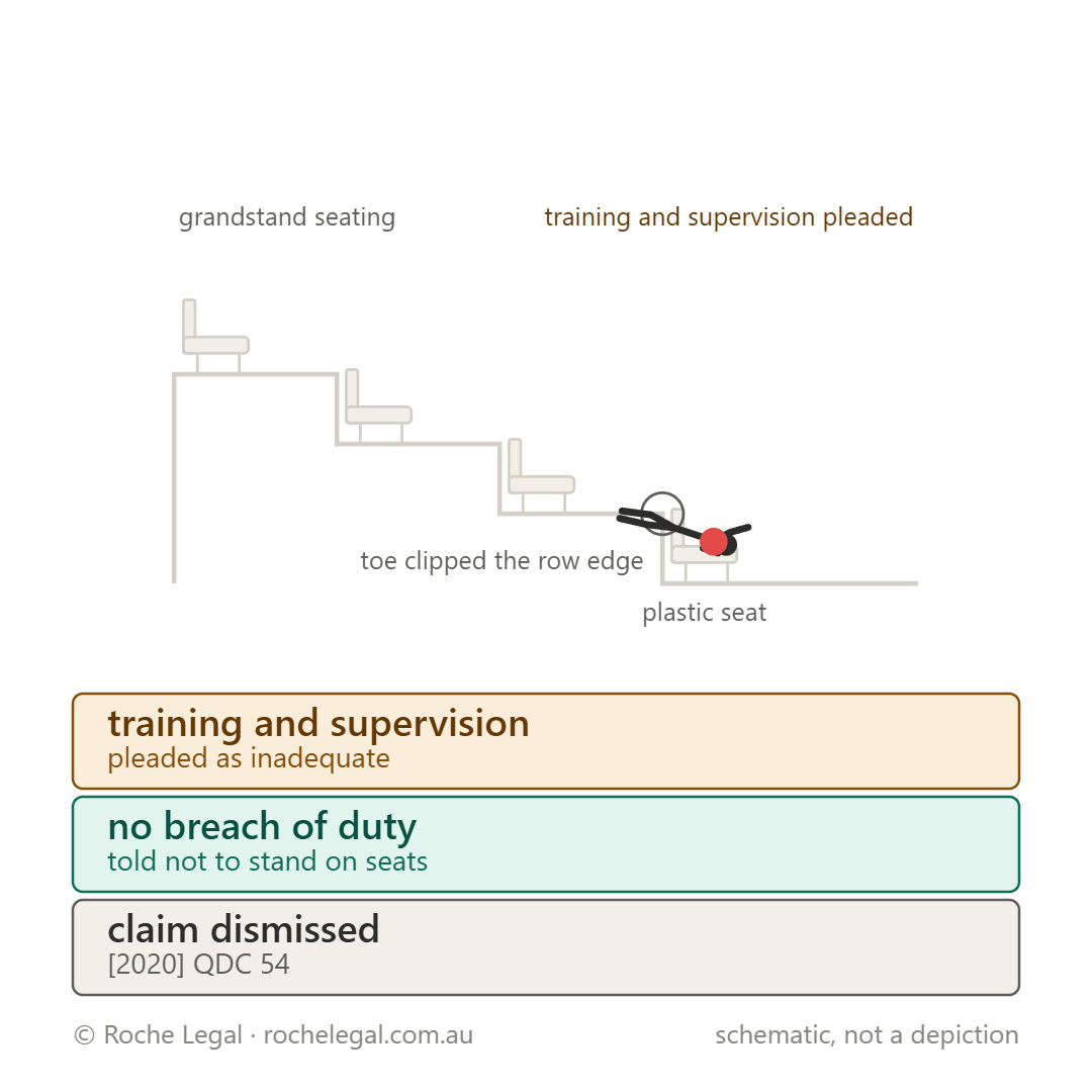 Schematic of Healy v Logan City Council [2020] QDC 54, cleaning down grandstand seating