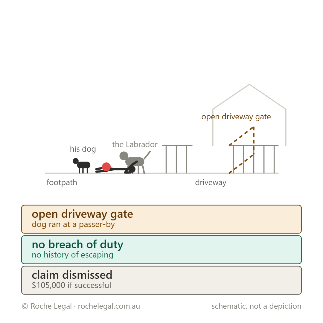 Schematic of Lockhart v Bartholomai & Anor [2025] QDC 202, dog ran out through an open driveway gate