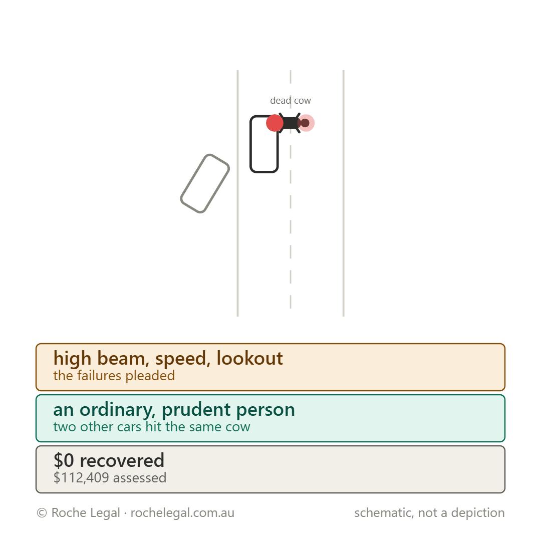 Schematic of Park v Nam & Anor [2023] QDC 140, the oncoming car had hit the same cow moments before