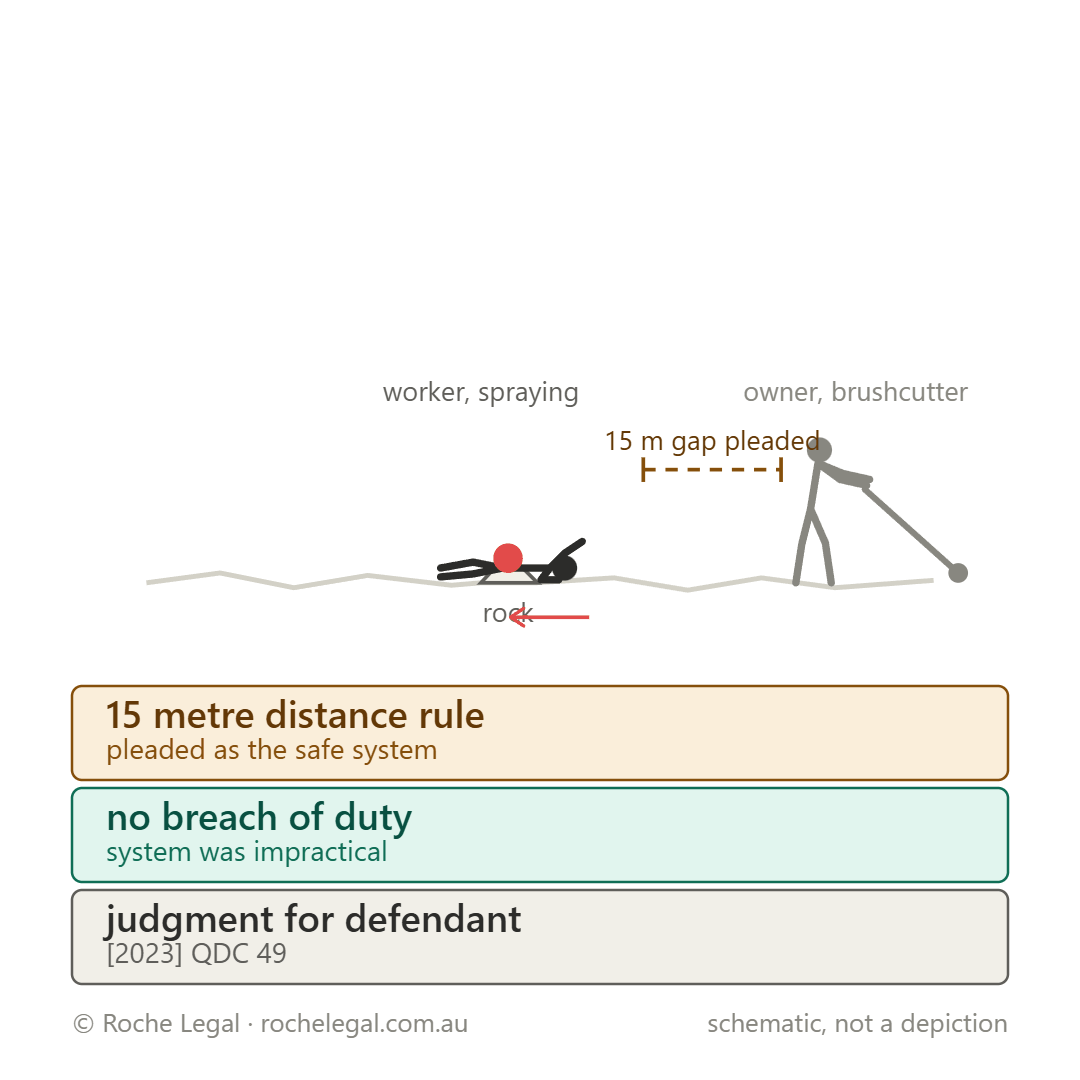 Schematic of Sneddon v Petts [2023] QDC 49, stepped back onto a rock on rough ground